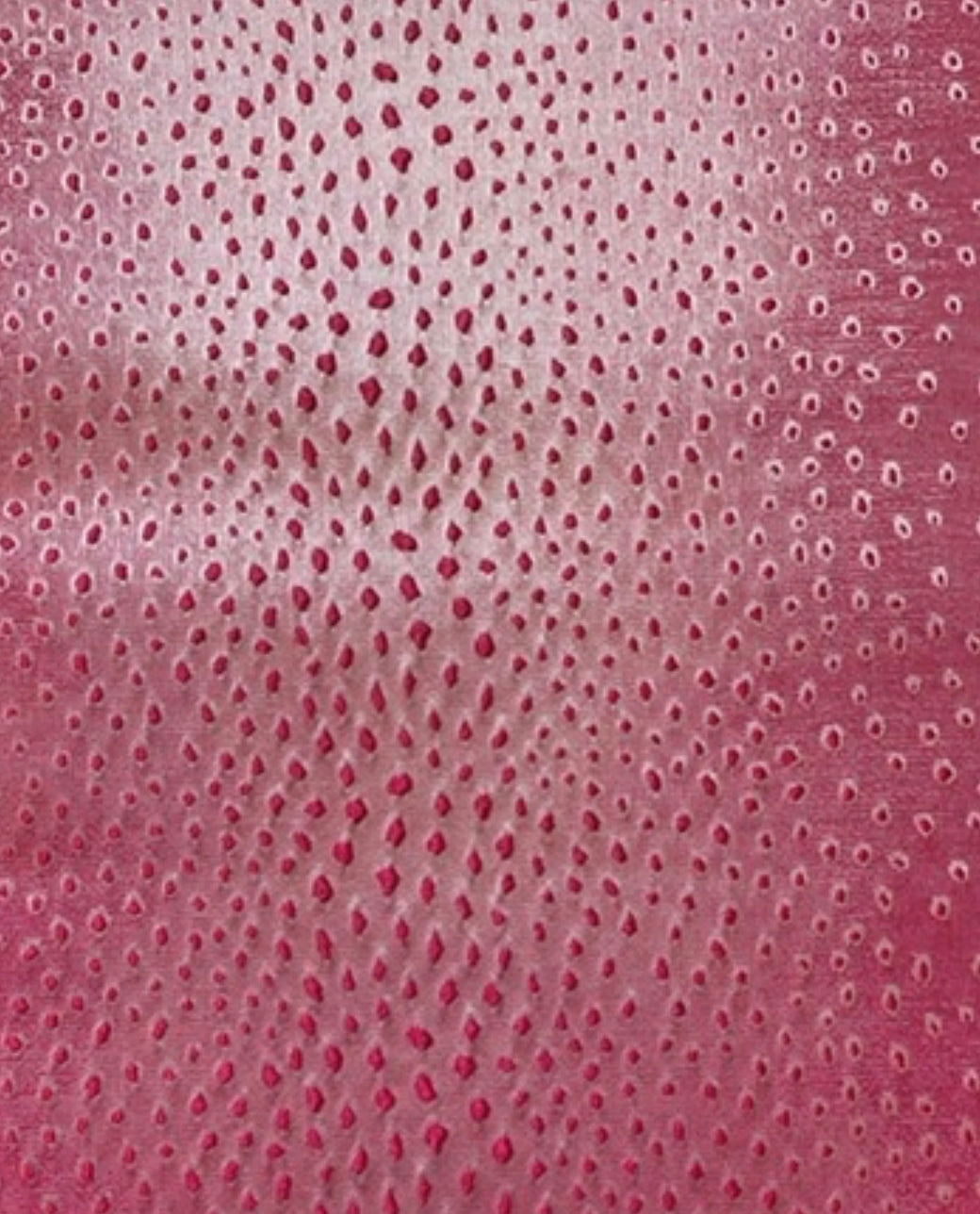 Lizard in Fuschia