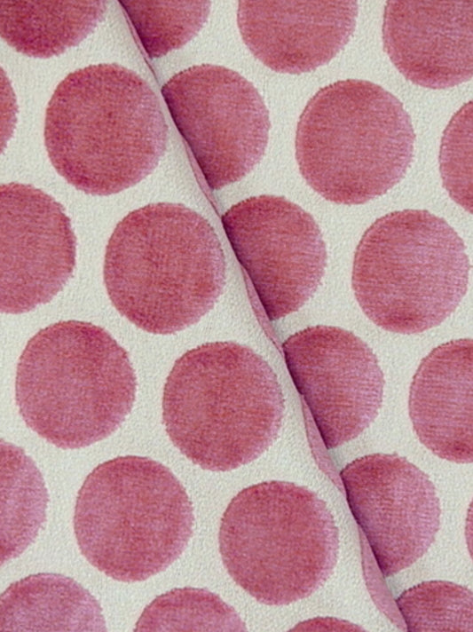 Pinky Dot Velvet