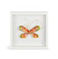 Orange Butterfly ShadowBox Art-10”sq